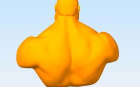 绿巨人半身像背面