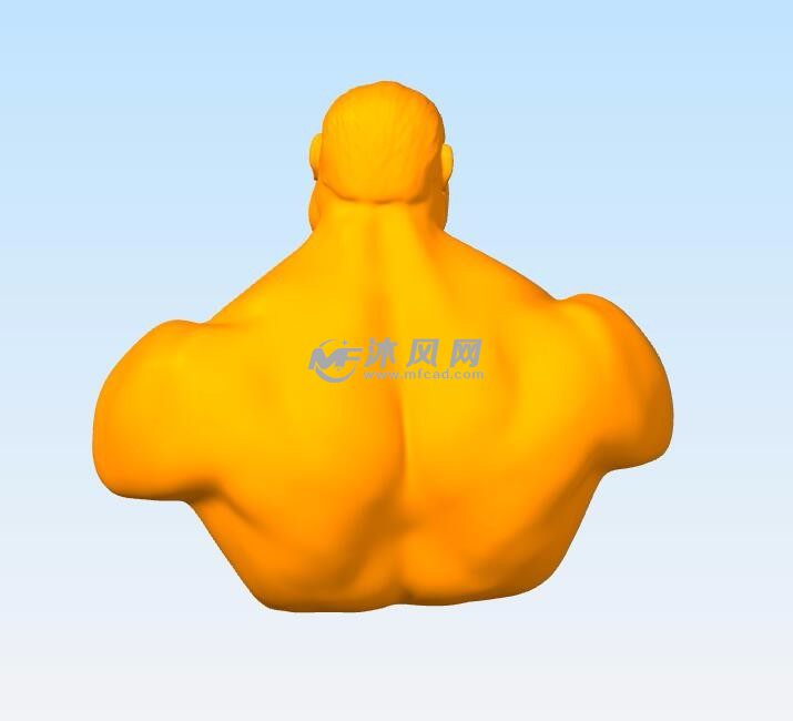 绿巨人半身像背面