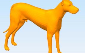 狗打印模型