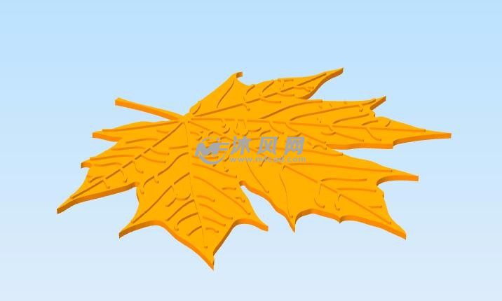枫叶模型