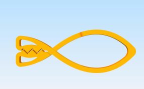 鱼形夹子模型俯视图