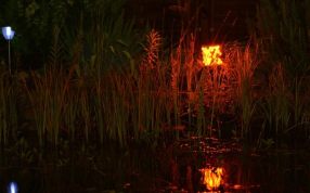 到了晚上灯会两起