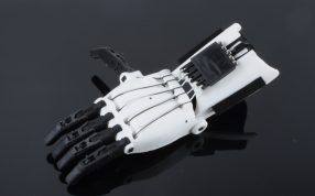 假手黑色效果图