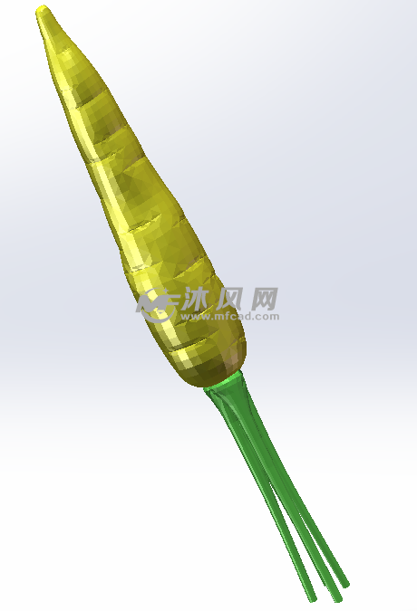 胡萝卜整体建模效果