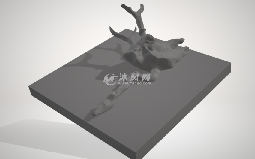 雄鹿的头骨模型