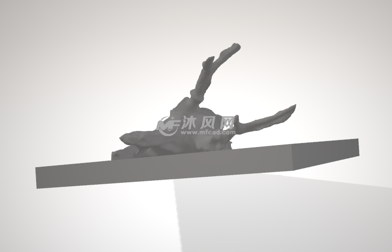 雄鹿的头骨正视