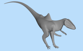 驼背昆卡猎龙侧面