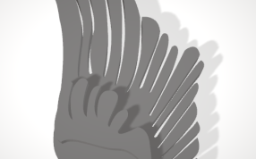 天使的翅膀灰色