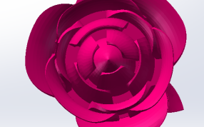 玫瑰花展现效果