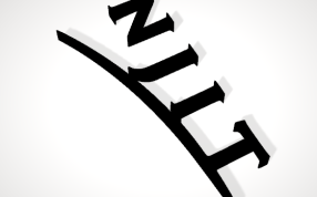 新泽西理工学院标志侧面