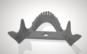 颚-人类头骨后视图