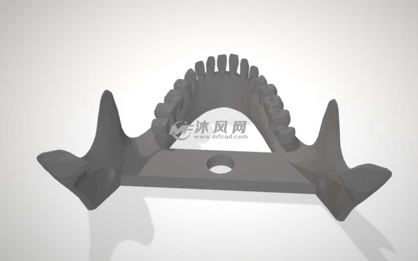 颚-人类头骨后视图