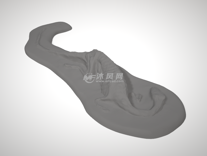 腔骨龙灰色渲染