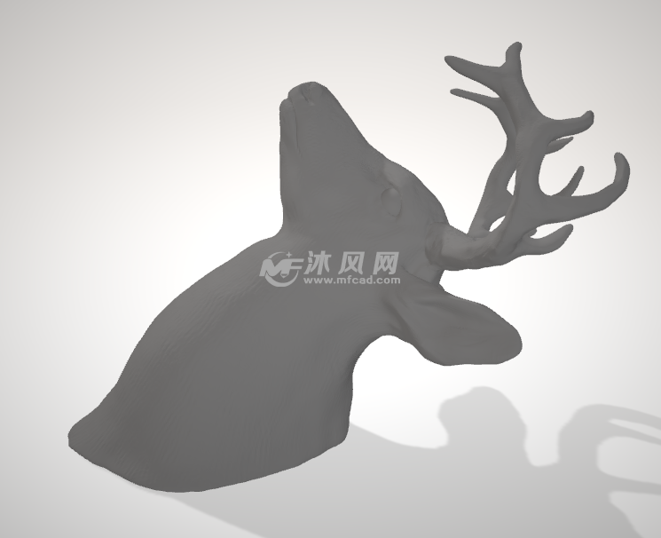 鹿头侧面