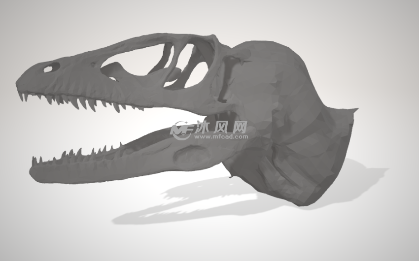 恐龙头骨模型