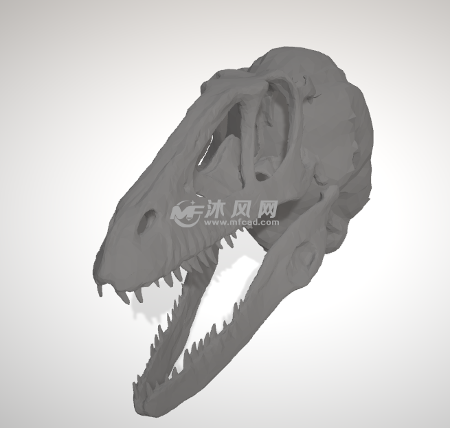 恐龙头骨俯视图