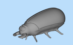 甲虫3D打印模型