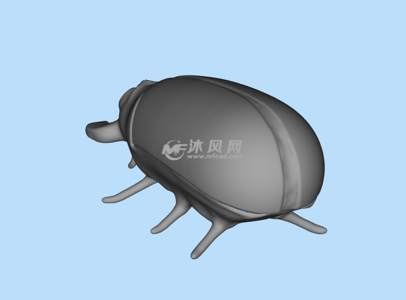 甲虫3D