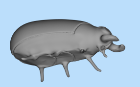 甲虫3D打印模型侧面