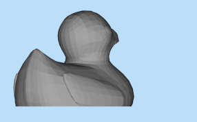 游泳的鸭子侧面