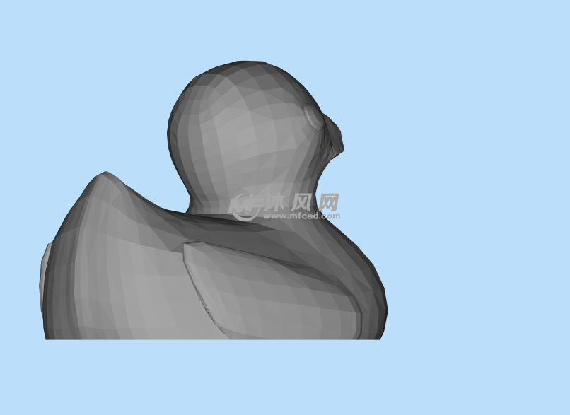 游泳的鸭子侧面