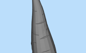 胡萝卜模型侧面