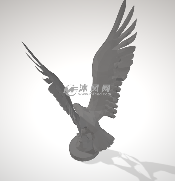 捕食的老鹰背面