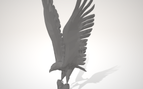 捕食的老鹰侧面