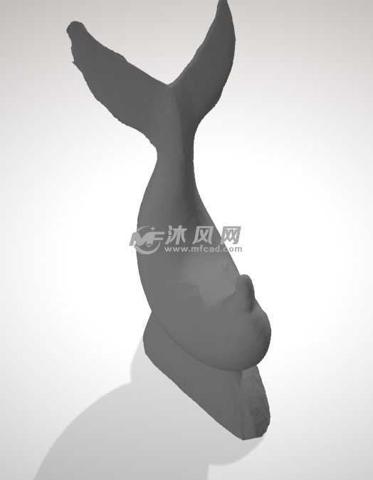 海豚模型