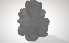 大教堂顶尖侧面