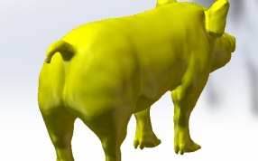 金猪后部效果图