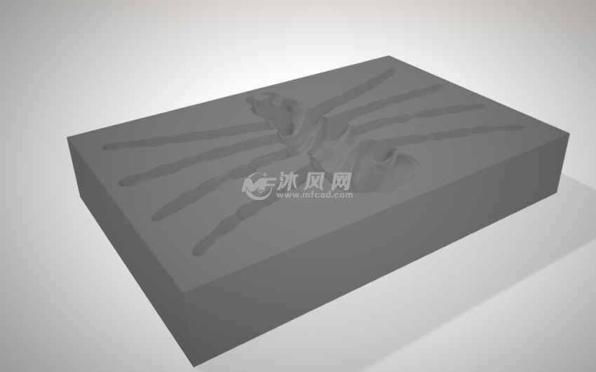 蜘蛛爬虫模具侧面