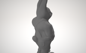 揣兜的兔子背面