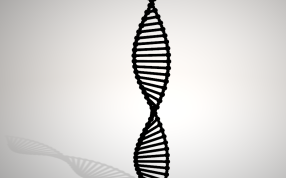 双螺旋结构DNA