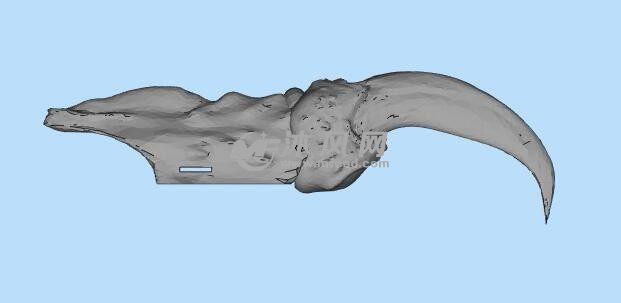 恶魔指甲3D打印