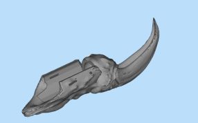 假指甲三维设计