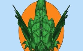 艺术品三维设计