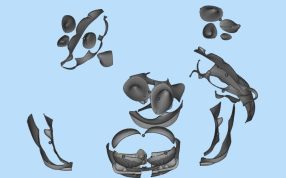 瑞克头套分解图