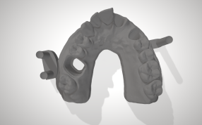 成年人的牙齿俯视图