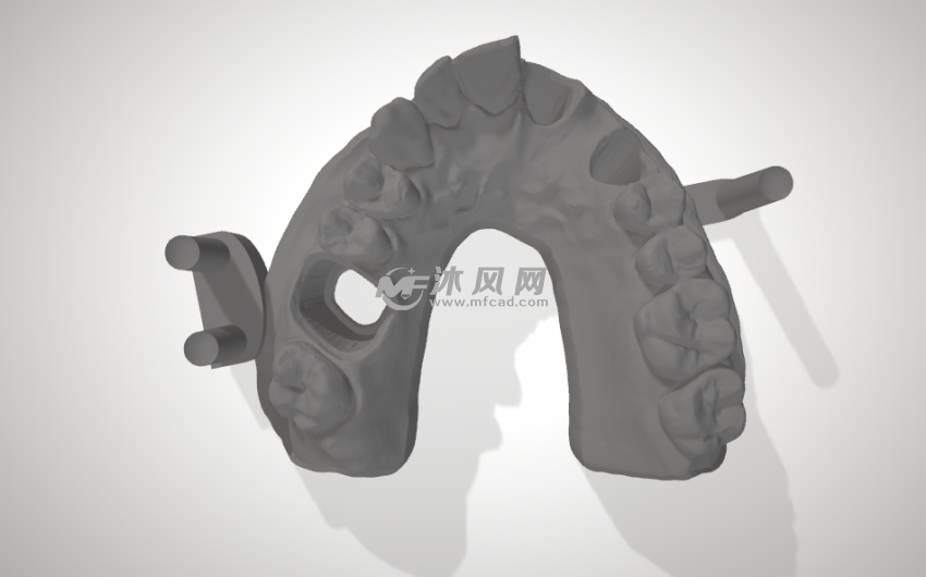 成年人的牙齿俯视图