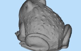 小动物三维设计