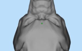 头盔外观造型模型