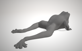 青蛙3D打印模型侧面