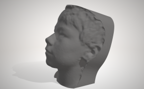 卡梅伦头像侧面