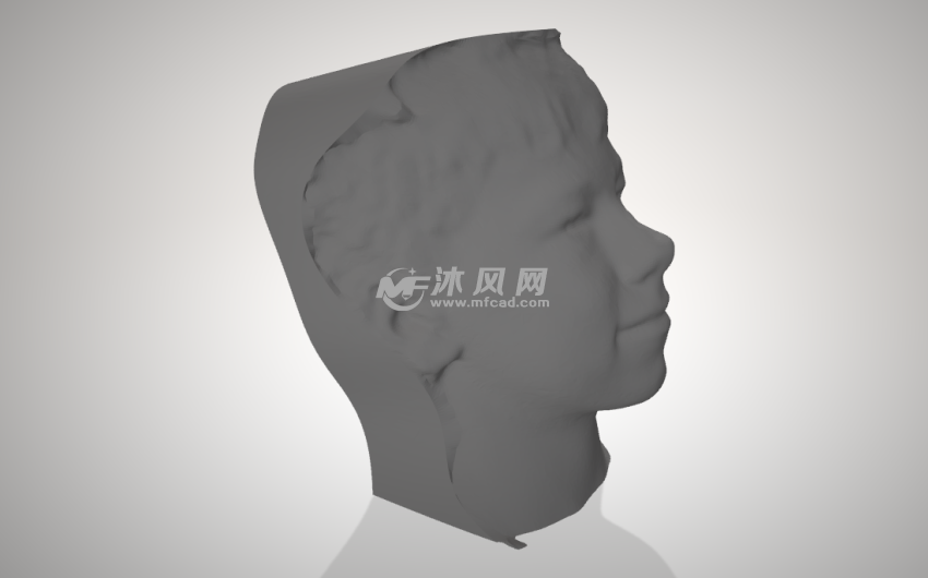 卡梅伦头像右侧