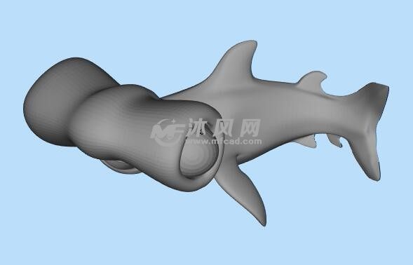 鲨鱼三维模型
