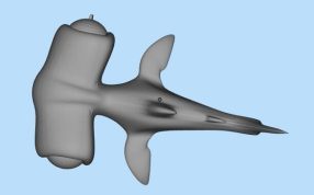 鱼模型三维设计