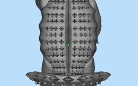 远古生物三维建模
