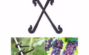 卡扣未弯曲视图