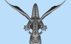 龙形宠物三维设计